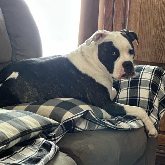 Meet your Posher, Gina - Picture 8 of 11